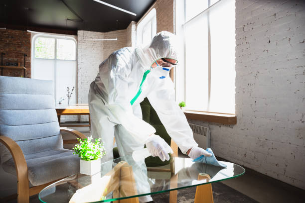 Mold Remediation for Rental Properties in Monrovia, CA